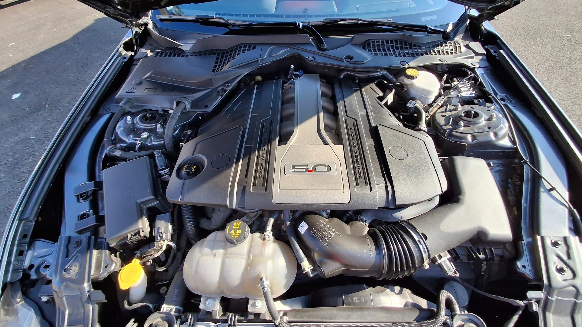 2019 Ford Mustang GT Premium