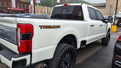 2024 Ford F-250 Platinum